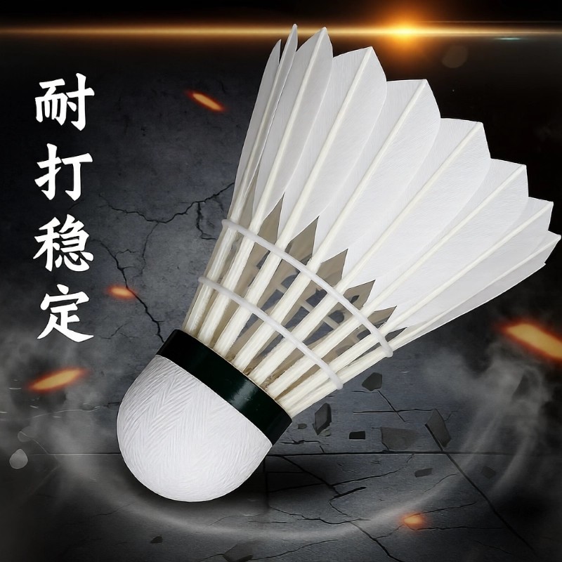 羽毛球正品耐打王室内室外训练用球6只装12只装防风稳定不易打烂