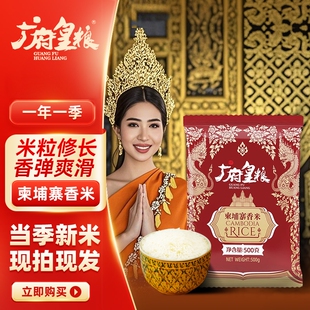 新米煲仔饭长粒米新真空米饭一季 广府皇粮柬埔寨香米500g 袋当季