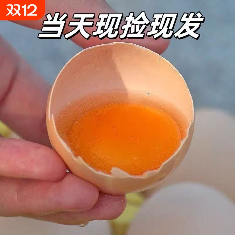 散养土鸡蛋新鲜蛋现捡现发30枚鸡蛋虫草谷物50枚农家鸡蛋整箱批发