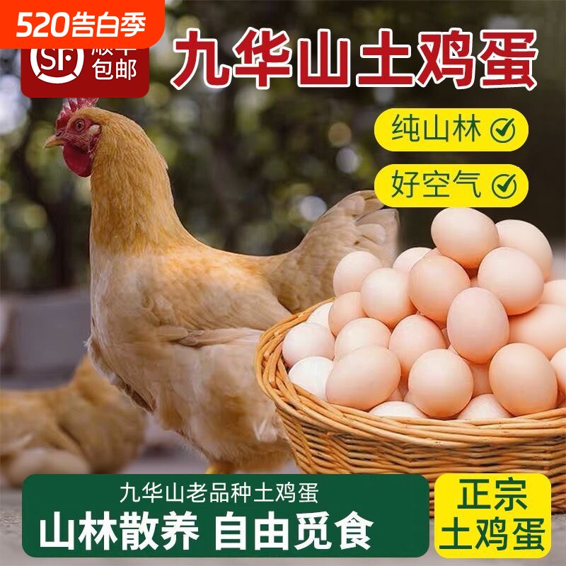 皖南土鸡蛋正宗九华山散养笨鸡蛋柴鸡蛋月子蛋绿壳乌鸡蛋顺丰新鲜