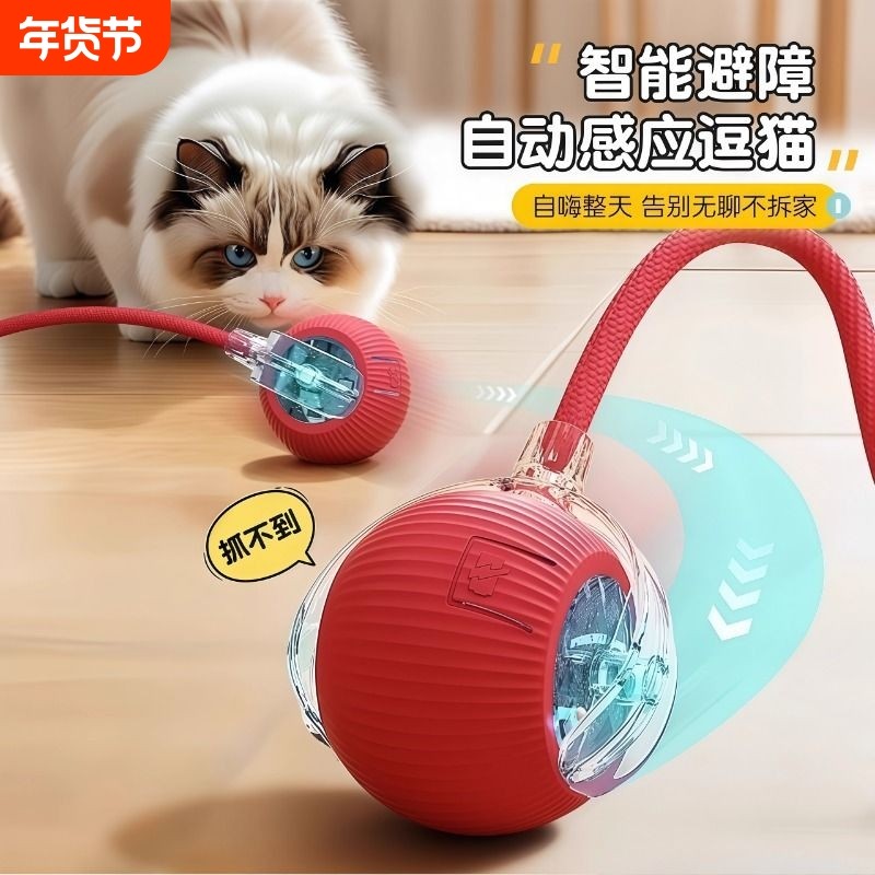 自动逗猫球猫咪玩具自嗨解闷智能逗猫棒消耗体力球电动猫神器耐咬,宠物/宠物食品及用品,橡胶球/球形玩具,淘宝优惠券,粉丝福利购,淘宝优惠卷