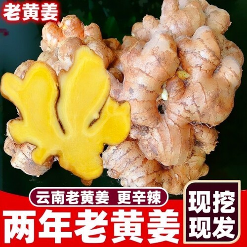 2年老姜云南小黄姜正宗两年批发新鲜蔬菜月子姜特级食用老黄姜