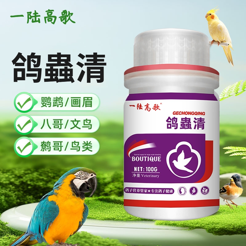 一陆高歌鸽虫清鸽用驱虫鸟用