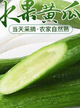 新鲜现摘水果小黄瓜嫩青瓜生吃蘸酱脆甜无刺小青瓜香脆新鲜采摘