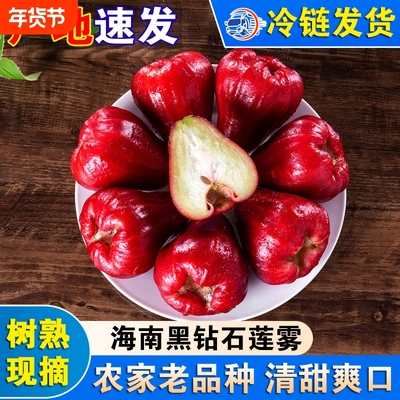 海南黑钻石莲雾新鲜莲雾果三亚特产水果红宝石脆甜爽口农家种植