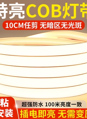 鼎雁led灯带220v防水超亮自粘线形灯槽客厅吊顶氛围COB户外软灯条