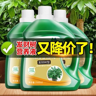 发财树专用营养液黄叶枯叶烂根专用药植物专用肥室内盆栽绿植通用