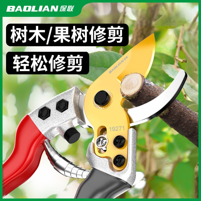 剪枝剪刀园林花艺专用修图片