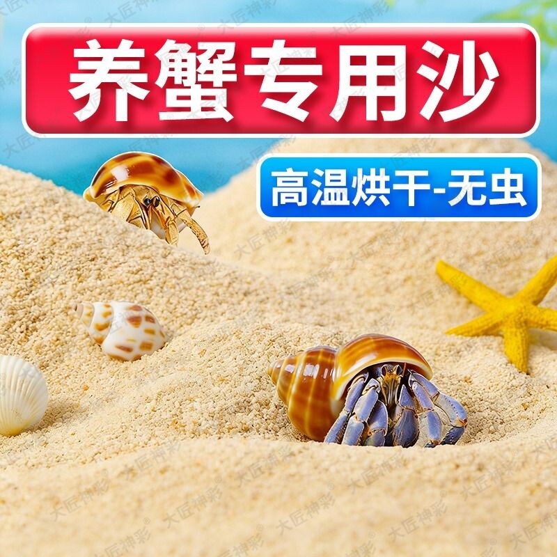 天然海沙寄居蟹专用沙子养相守蟹螃蟹沙蟹乌龟冬眠沙颗粒底砂细沙