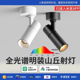 小山丘射灯可调角度折叠吸顶式 明装 洗墙照画全光谱客厅洗墙灯玄关