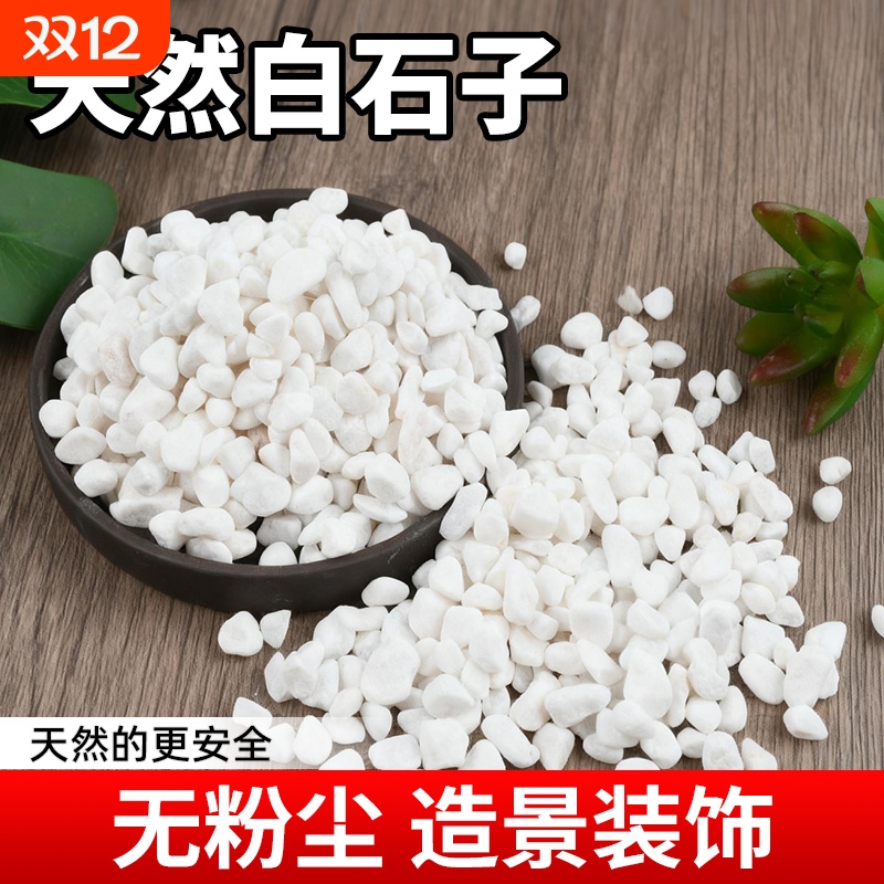 天然精选白石子鱼缸铺底盆栽铺面