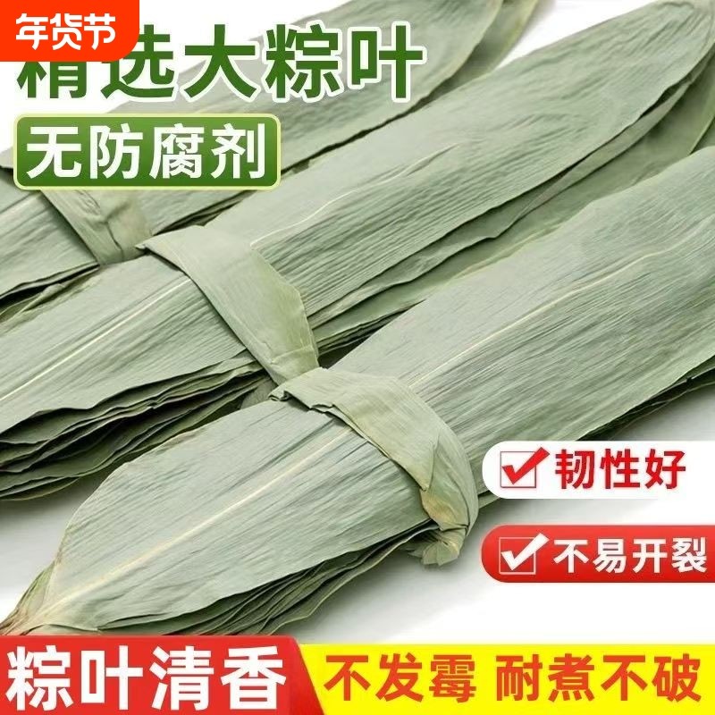 野生干粽叶粽子叶端午包粽子粽叶批发优惠清香采摘特大号家用糯米