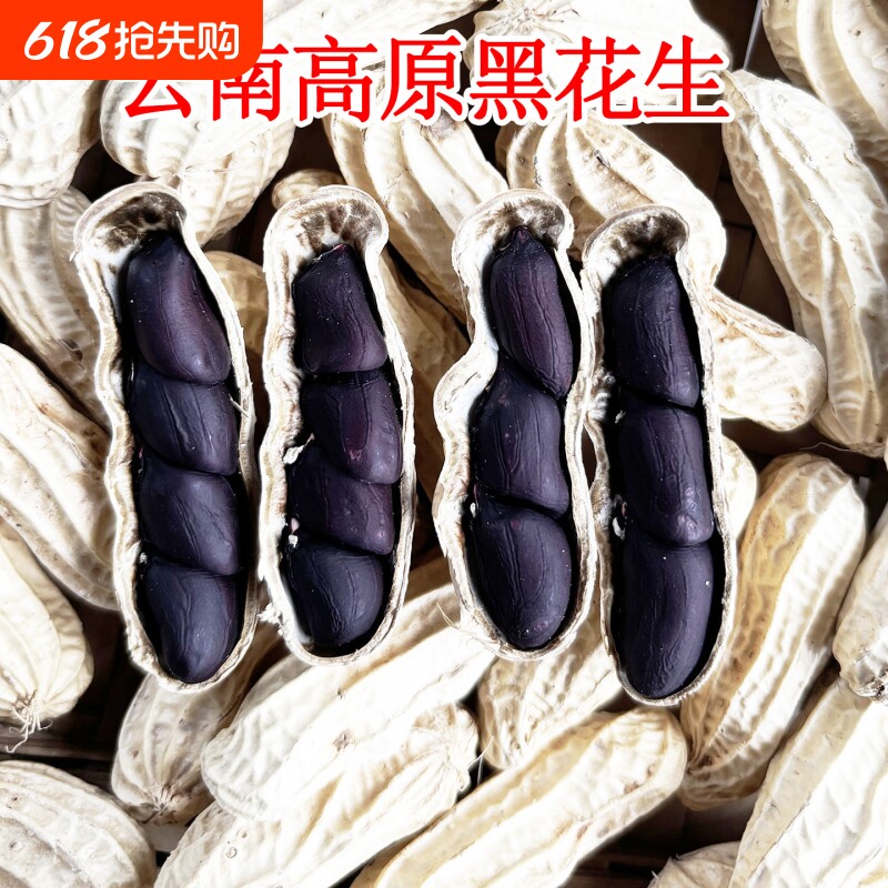云南黑花生新鲜带壳大粒生黑花生甜晒干带壳富硒黑花生黑皮花生