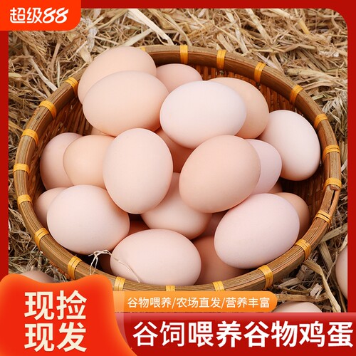 农场新鲜生鲜鸡蛋草鸡蛋营养鲜蛋谷物每天鲜捡农场谷饲喂养