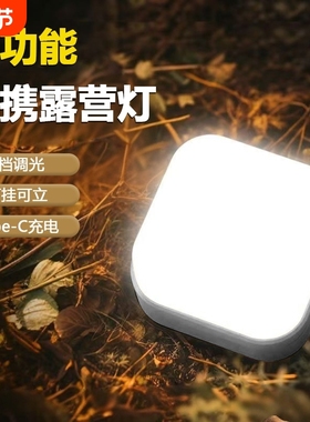 【柔光照明】多功能随身露营灯户外充电长续航便携迷你工作灯LY01