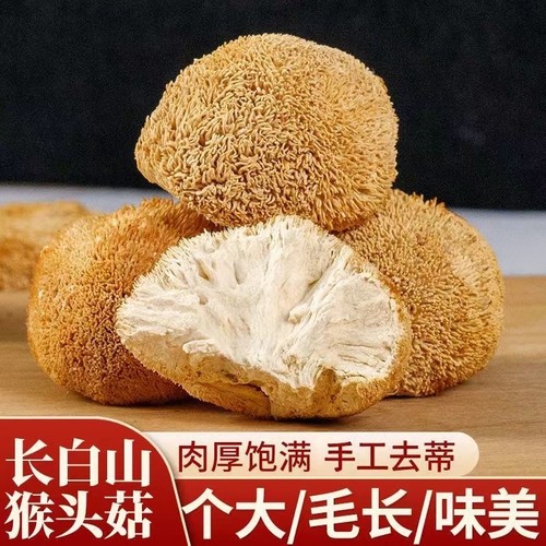 长白山猴头菇干货养胃粉野生特级菌纯新鲜无硫煲汤火锅食材500g
