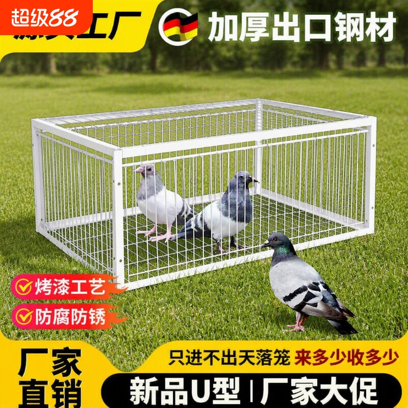 天落笼捕神器只进不出收鸽器户外加密粗防锈自动连续进鸽子笼捕捉图片