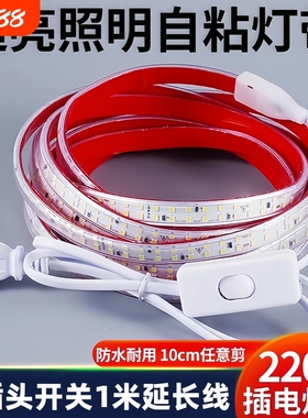 鼎雁超亮防水开关220v自粘户外摆摊灯带条客厅照明软灯条LED灯带