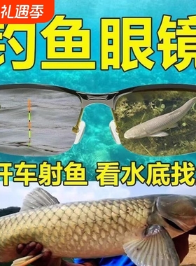 专业钓鱼射鱼眼镜看鱼看漂看水底日夜两用开车用德国偏光夜视高清