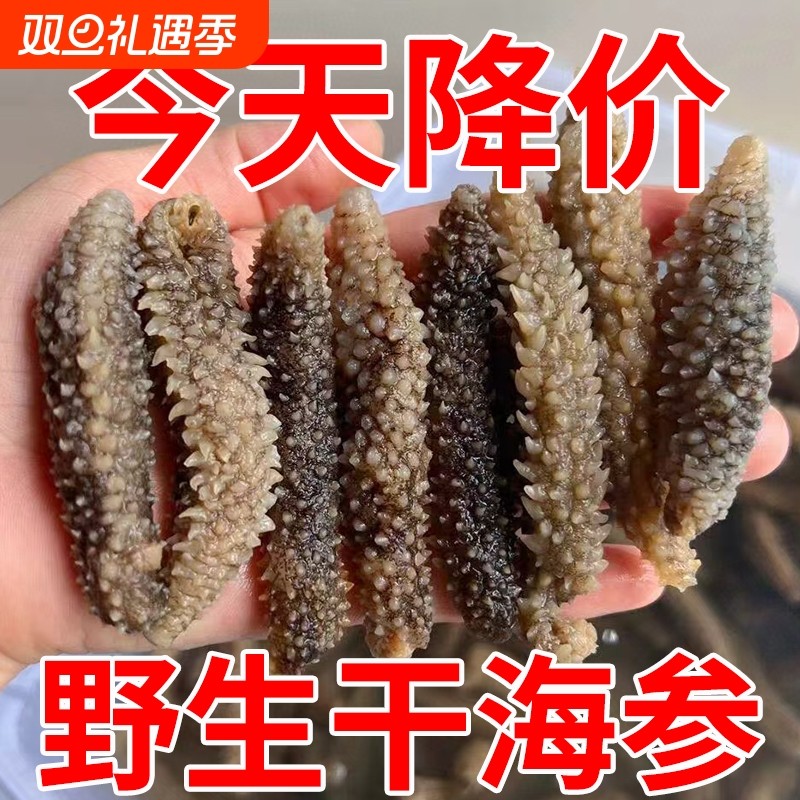 黑刺参正宗野生淡干海参即食干货商用鲜活易泡发散装水产滋补