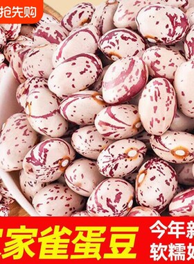 云南雀蛋豆奶花芸豆新货尝鲜