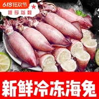 帶籽籽烏海兔子滿籽新鮮活筆管魚