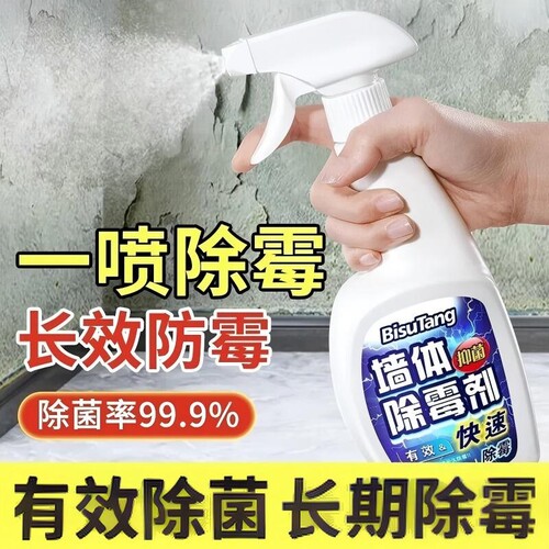 除霉防潮墙体清洁剂家用除霉