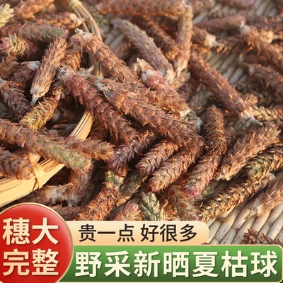 夏枯草新货白毛夏枯球中药材夏菇草姑草药泡水煮鸡蛋搭蒲公英郁金