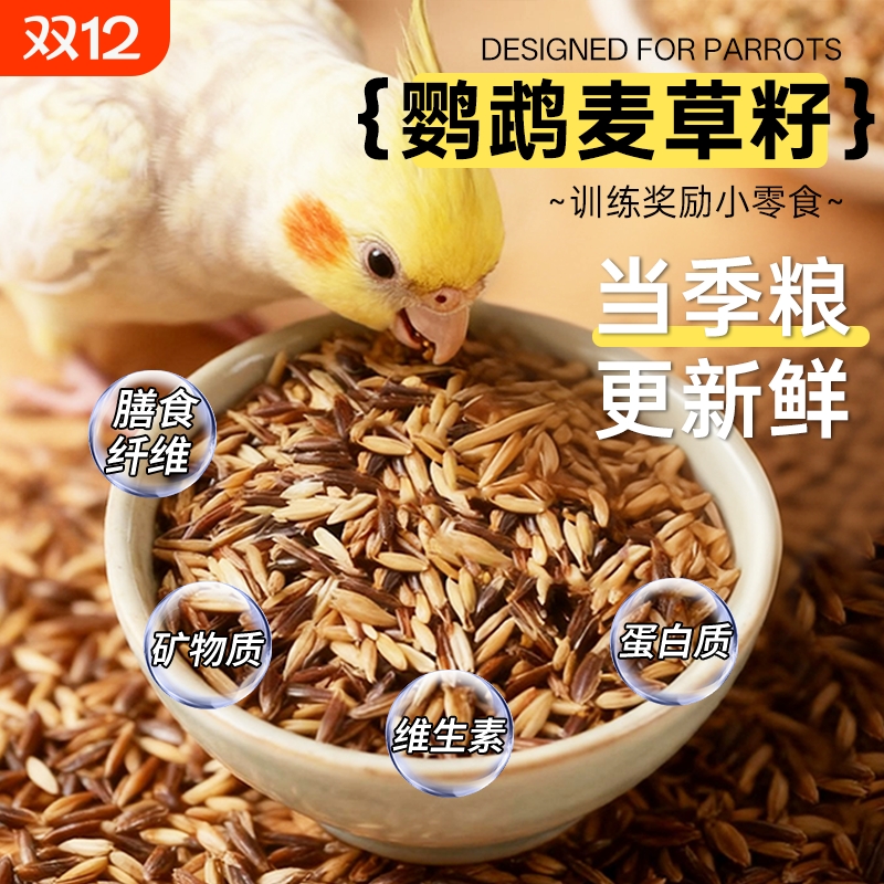 双色麦草籽鹦鹉零食训练奖励白玉黑金双拼虎皮牡丹专用鸟粮鸟食