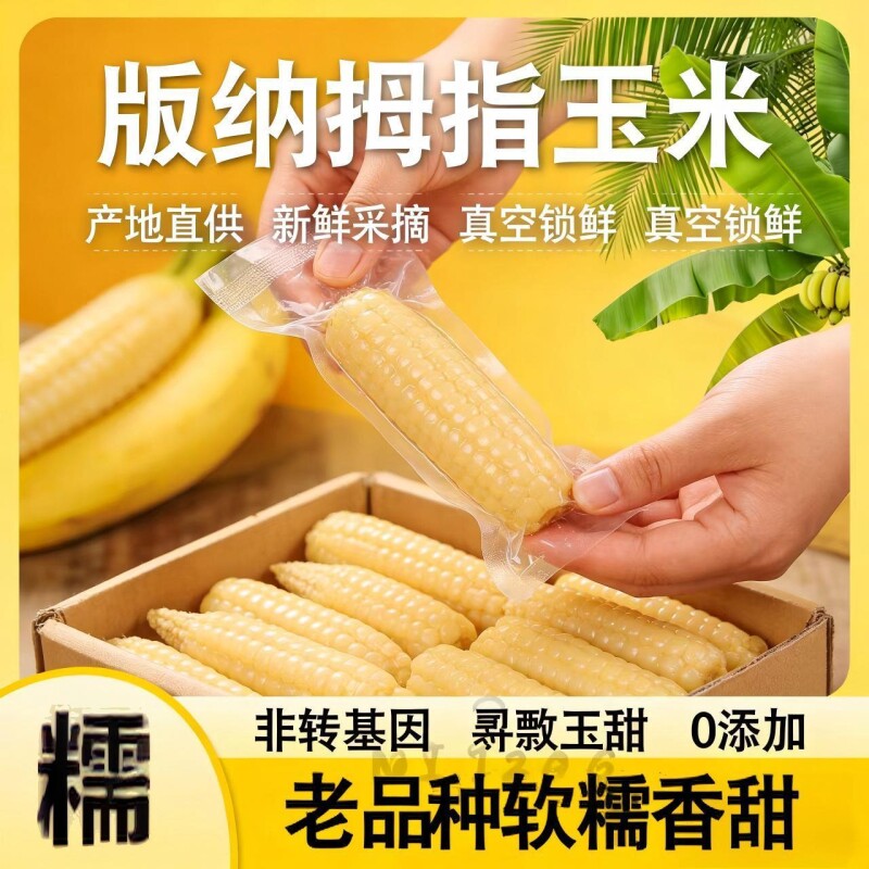 新鲜拇指玉米云南西双版纳儿童宝宝辅食手指香糯早餐香甜代餐真空