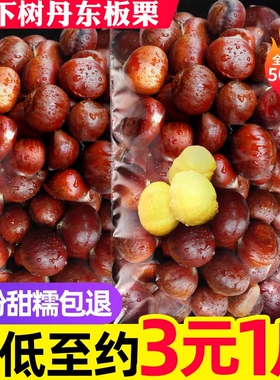 老树现摘现发正宗新鲜生丹东板栗栗子锥去毛球油栗仁蔬罗田去壳