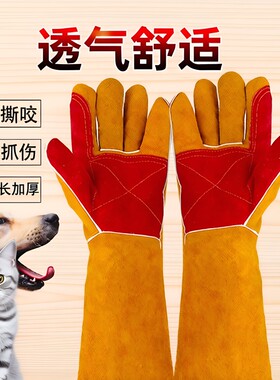 宠物防咬加厚手套|超1.1万次加购