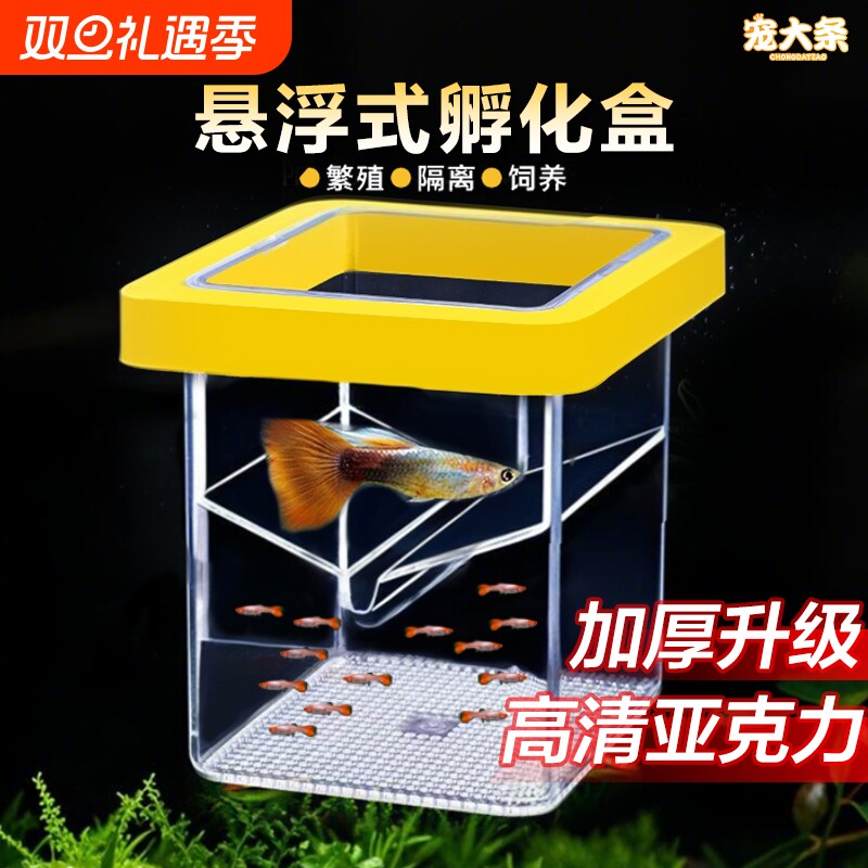 鱼缸繁殖隔离器悬浮式母鱼孵化器孔雀鱼凤尾鱼繁殖盒固定方形
