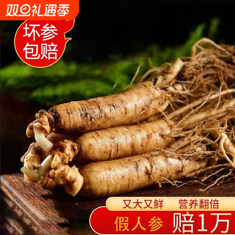 鲜人参长白山东北人参整根新鲜人叁泡酒煲汤专用高年参现挖保鲜