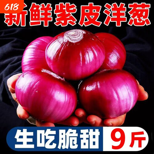 云南农家紫皮新鲜洋葱现挖产地生吃蔬菜红皮水果葱头9斤脆甜生鲜