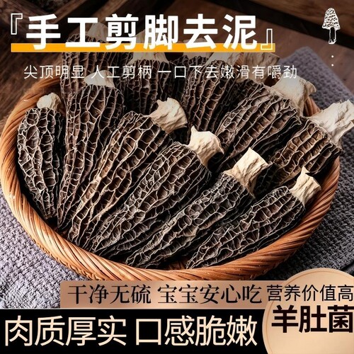 2026头茬新货羊肚菌干货云南特产羊肚菇高山菌菇类煲汤羊肚菌食