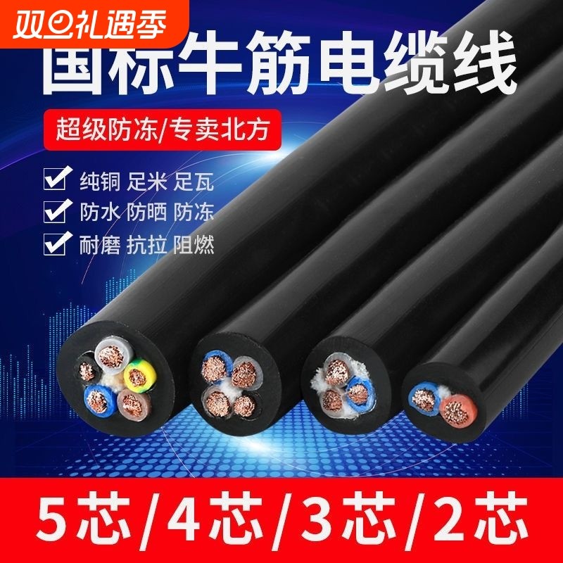 真国标纯铜234芯电缆线户外防水