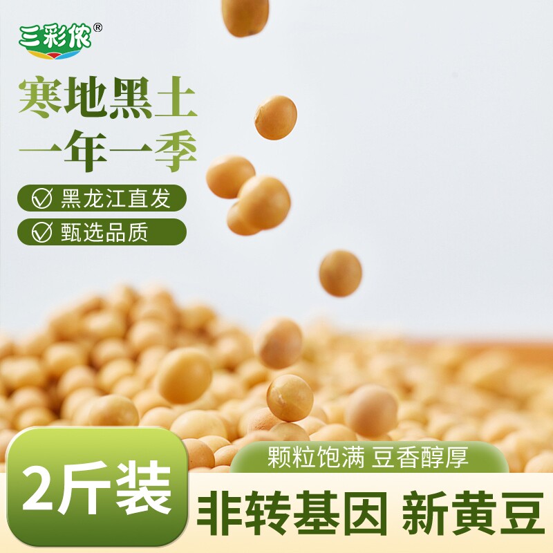 1斤当季新豆5斤装非转基因大豆高蛋白磨豆腐打豆浆生豆芽专用黄豆