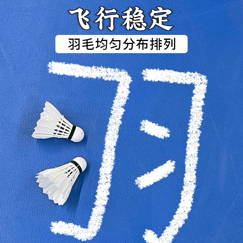 羽毛球12只6个装正品耐打王稳定羽毛球白色室外学习训练比赛用球