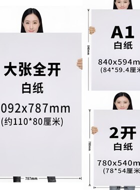 全开双胶纸白纸艺彩宸大白纸