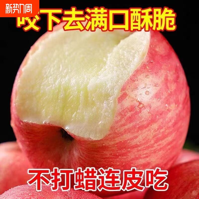 正宗红富士苹果脆甜丑苹果应季当季孕妇新鲜水果一整箱批发价