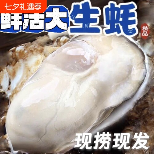大连生蚝非乳山生蚝鲜活新鲜特大带箱海蛎子海鲜牡蛎水产