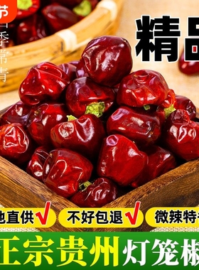 灯笼椒贵州干辣椒子弹头辣椒面微辣特香干红辣椒海椒香辣散装商用