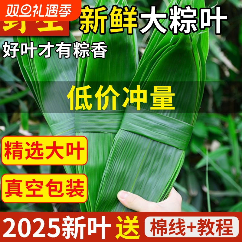 粽叶真空包装批发|超7000次加购