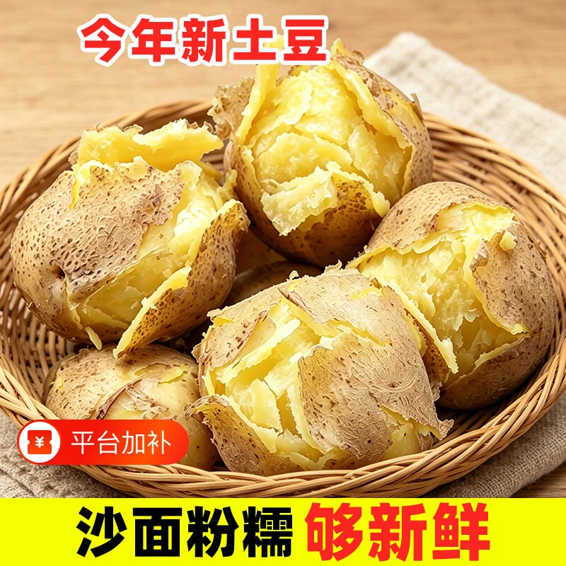 土豆定西甘肃沙面新鲜大个老品种洋芋马铃薯粉糯开花农家自种