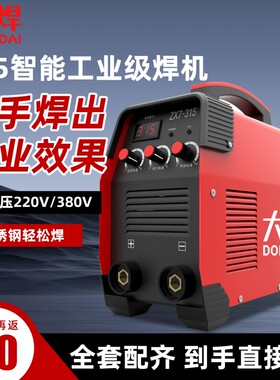 大焊电焊机220v家用380v工业级315便携式纯铜双电压小型两用焊机