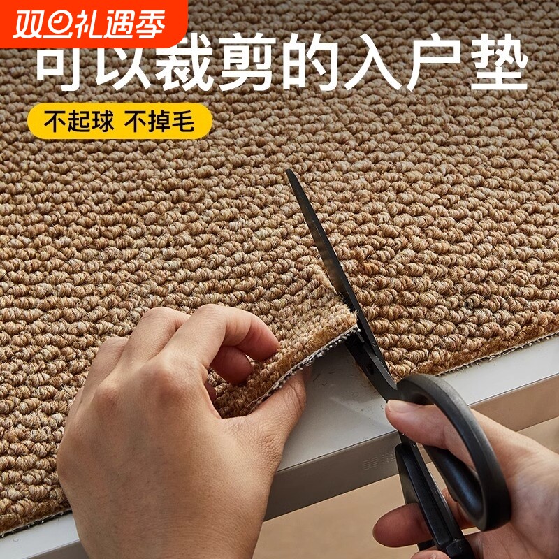 入户门地垫仿地毯门垫进门大门口玄关脚垫可裁剪防滑门厅除尘丙纶