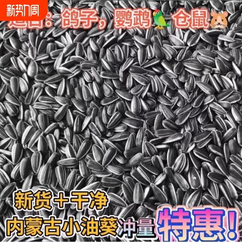 生油葵籽5斤鸽子鹦鹉鸟食鸟粮饲料仓鼠宠物零食鸽粮黑珍珠小瓜子