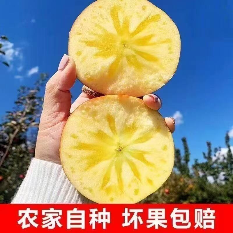 【脆甜】正宗冰糖心红富士苹果丑苹果脆甜不打蜡新鲜水果整箱批发
