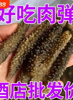 黑刺参正宗野生淡干海参即食干货鲜活易泡发散装水产滋补年货一斤